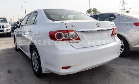 Acheter Import Voiture Toyota Corolla Blanc à Import - Dubai, Iles Acheter Import Voiture Toyota Corolla Blanc à Import - Dubai, Iles