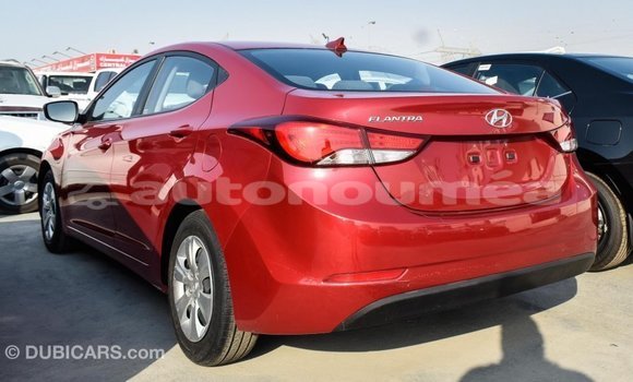 Buy Import Hyundai Elantra Red Car in Import - Dubai in Iles Buy Import Hyundai Elantra Red Car in Import - Dubai in Iles
