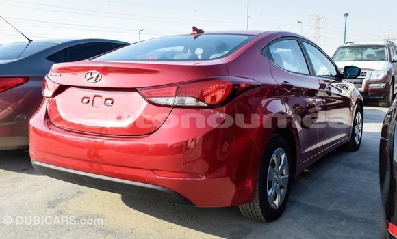 Buy Import Hyundai Elantra Red Car in Import - Dubai in Iles Buy Import Hyundai Elantra Red Car in Import - Dubai in Iles