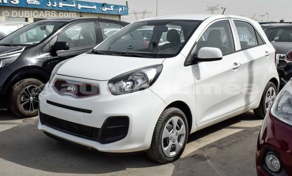 Acheter Import Voiture Kia Picanto Blanc à Import - Dubai, Iles Acheter Import Voiture Kia Picanto Blanc à Import - Dubai, Iles
