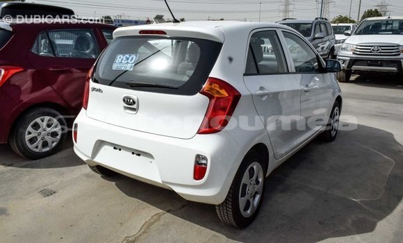 Acheter Import Voiture Kia Picanto Blanc à Import - Dubai, Iles Acheter Import Voiture Kia Picanto Blanc à Import - Dubai, Iles