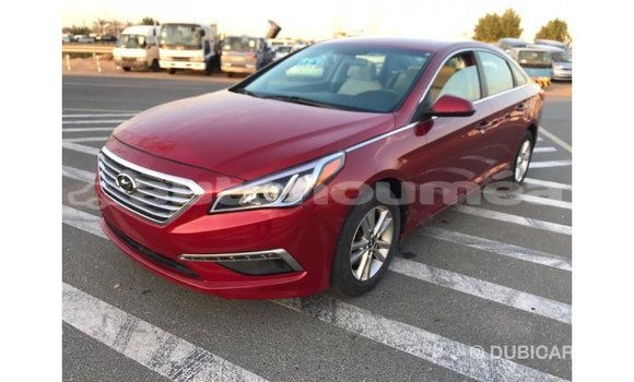 Acheter Import Voiture Hyundai Sonata Rouge à Import - Dubai, Iles Acheter Import Voiture Hyundai Sonata Rouge à Import - Dubai, Iles