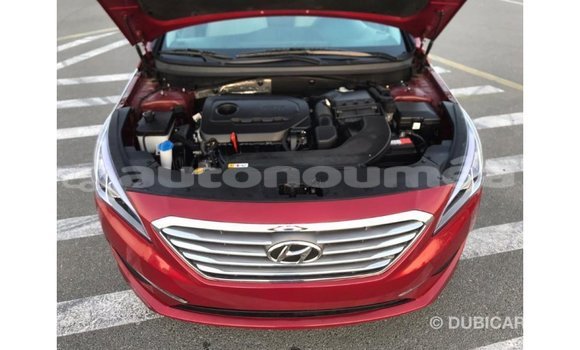 Acheter Import Voiture Hyundai Sonata Rouge à Import - Dubai, Iles Acheter Import Voiture Hyundai Sonata Rouge à Import - Dubai, Iles