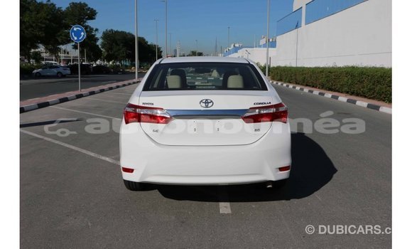 Acheter Import Voiture Toyota Corolla Blanc à Import - Dubai, Iles Acheter Import Voiture Toyota Corolla Blanc à Import - Dubai, Iles