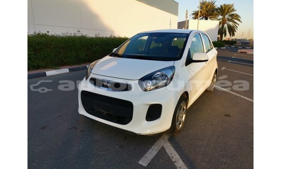 Acheter Import Voiture Kia Picanto Blanc à Import - Dubai, Iles Acheter Import Voiture Kia Picanto Blanc à Import - Dubai, Iles