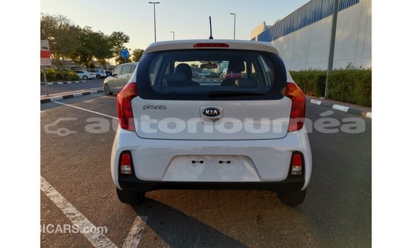 Acheter Import Voiture Kia Picanto Blanc à Import - Dubai, Iles Acheter Import Voiture Kia Picanto Blanc à Import - Dubai, Iles
