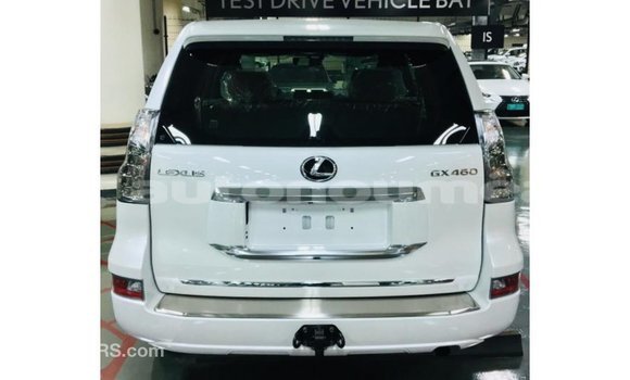 Acheter Import Voiture Lexus GX Blanc à Import - Dubai, Iles Acheter Import Voiture Lexus GX Blanc à Import - Dubai, Iles