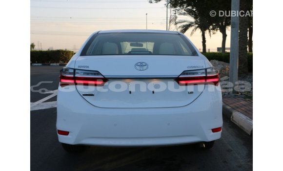 Acheter Import Voiture Toyota Corolla Blanc à Import - Dubai, Iles Acheter Import Voiture Toyota Corolla Blanc à Import - Dubai, Iles
