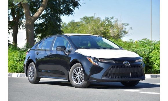 Buy Import Toyota Corolla Black Car in Import - Dubai in Iles Buy Import Toyota Corolla Black Car in Import - Dubai in Iles