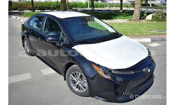 Buy Import Toyota Corolla Black Car in Import - Dubai in Iles Buy Import Toyota Corolla Black Car in Import - Dubai in Iles