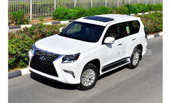 Acheter Import Voiture Lexus GX Blanc à Import - Dubai, Iles Acheter Import Voiture Lexus GX Blanc à Import - Dubai, Iles