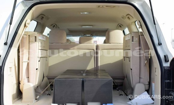 Buy Import Toyota Land Cruiser White Car in Import - Dubai in Iles Buy Import Toyota Land Cruiser White Car in Import - Dubai in Iles