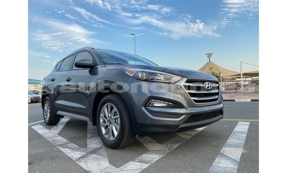 Acheter Import Voiture Hyundai Tucson Blanc à Import - Dubai, Iles Acheter Import Voiture Hyundai Tucson Blanc à Import - Dubai, Iles