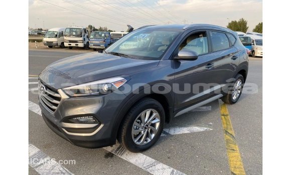 Acheter Import Voiture Hyundai Tucson Blanc à Import - Dubai, Iles Acheter Import Voiture Hyundai Tucson Blanc à Import - Dubai, Iles