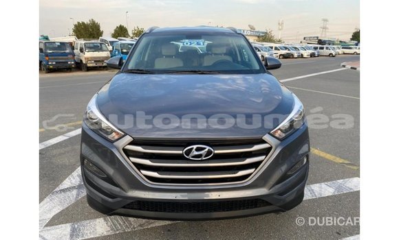 Acheter Import Voiture Hyundai Tucson Blanc à Import - Dubai, Iles Acheter Import Voiture Hyundai Tucson Blanc à Import - Dubai, Iles
