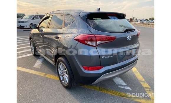 Acheter Import Voiture Hyundai Tucson Blanc à Import - Dubai, Iles Acheter Import Voiture Hyundai Tucson Blanc à Import - Dubai, Iles
