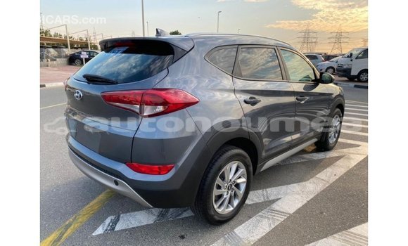 Acheter Import Voiture Hyundai Tucson Blanc à Import - Dubai, Iles Acheter Import Voiture Hyundai Tucson Blanc à Import - Dubai, Iles