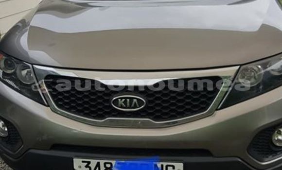 Buy Used Kia Sorrento Other Car in Tadine in Iles