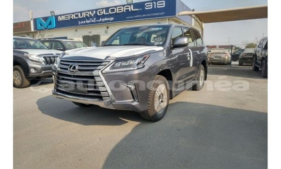 Acheter Import Voiture Lexus LX Autre à Import - Dubai, Iles Acheter Import Voiture Lexus LX Autre à Import - Dubai, Iles