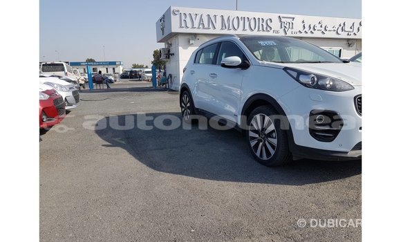 Buy Import Kia Sportage White Car in Import - Dubai in Iles Buy Import Kia Sportage White Car in Import - Dubai in Iles