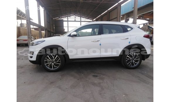 Buy Import Hyundai Tucson White Car in Import - Dubai in Iles Buy Import Hyundai Tucson White Car in Import - Dubai in Iles