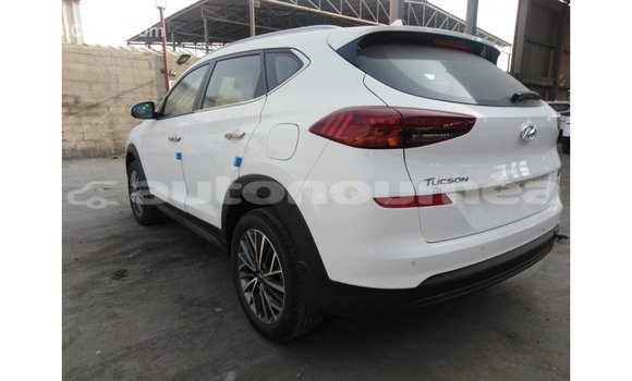 Buy Import Hyundai Tucson White Car in Import - Dubai in Iles Buy Import Hyundai Tucson White Car in Import - Dubai in Iles