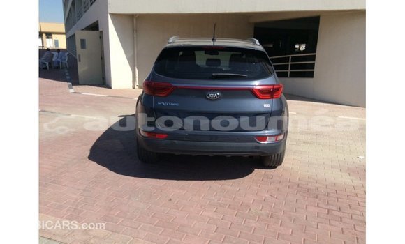 Buy Import Kia Sportage Blue Car in Import - Dubai in Iles Buy Import Kia Sportage Blue Car in Import - Dubai in Iles