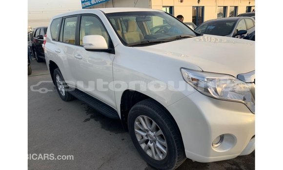 Acheter Import Voiture Toyota Prado Blanc à Import - Dubai, Iles Acheter Import Voiture Toyota Prado Blanc à Import - Dubai, Iles