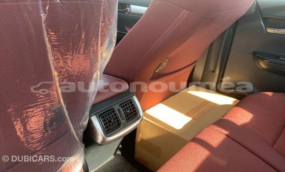 Acheter Import Voiture Toyota Hilux Autre à Import - Dubai, Iles Acheter Import Voiture Toyota Hilux Autre à Import - Dubai, Iles