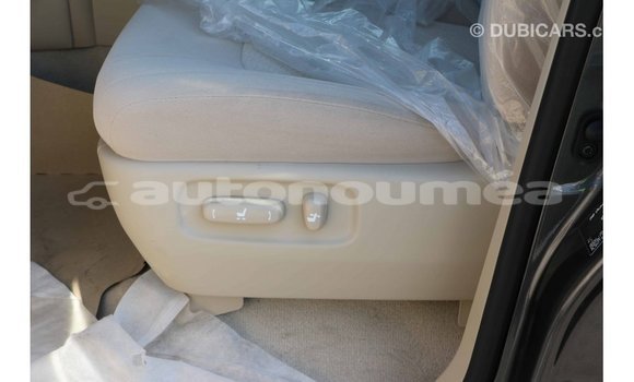 Acheter Import Voiture Toyota Land Cruiser Noir à Import - Dubai, Iles Acheter Import Voiture Toyota Land Cruiser Noir à Import - Dubai, Iles