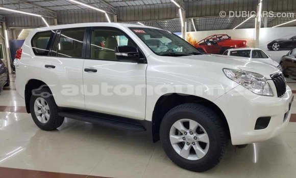 Buy Import Toyota Prado White Car in Import - Dubai in Iles Buy Import Toyota Prado White Car in Import - Dubai in Iles