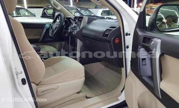 Buy Import Toyota Prado White Car in Import - Dubai in Iles Buy Import Toyota Prado White Car in Import - Dubai in Iles