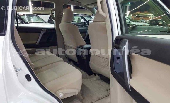 Buy Import Toyota Prado White Car in Import - Dubai in Iles Buy Import Toyota Prado White Car in Import - Dubai in Iles