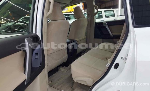 Buy Import Toyota Prado White Car in Import - Dubai in Iles Buy Import Toyota Prado White Car in Import - Dubai in Iles