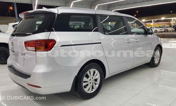 Buy Import Kia Carnival Other Car in Import - Dubai in Iles Buy Import Kia Carnival Other Car in Import - Dubai in Iles