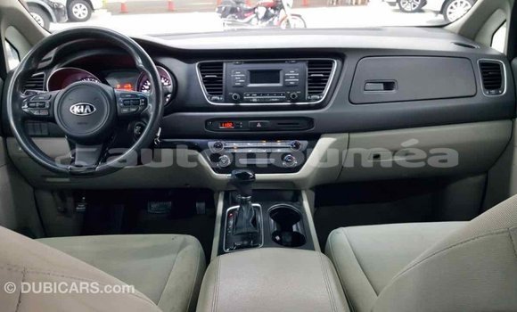 Buy Import Kia Carnival Other Car in Import - Dubai in Iles Buy Import Kia Carnival Other Car in Import - Dubai in Iles