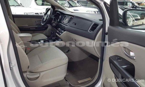 Buy Import Kia Carnival Other Car in Import - Dubai in Iles Buy Import Kia Carnival Other Car in Import - Dubai in Iles