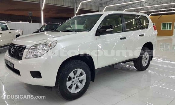 Buy Import Toyota Prado White Car in Import - Dubai in Iles Buy Import Toyota Prado White Car in Import - Dubai in Iles