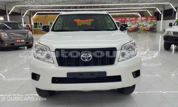Buy Import Toyota Prado White Car in Import - Dubai in Iles Buy Import Toyota Prado White Car in Import - Dubai in Iles