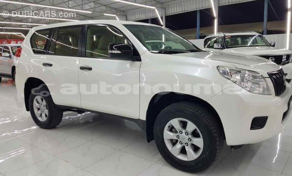 Buy Import Toyota Prado White Car in Import - Dubai in Iles Buy Import Toyota Prado White Car in Import - Dubai in Iles