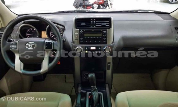 Buy Import Toyota Prado White Car in Import - Dubai in Iles Buy Import Toyota Prado White Car in Import - Dubai in Iles