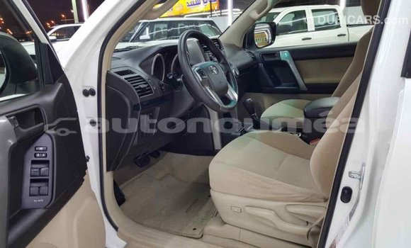 Buy Import Toyota Prado White Car in Import - Dubai in Iles Buy Import Toyota Prado White Car in Import - Dubai in Iles
