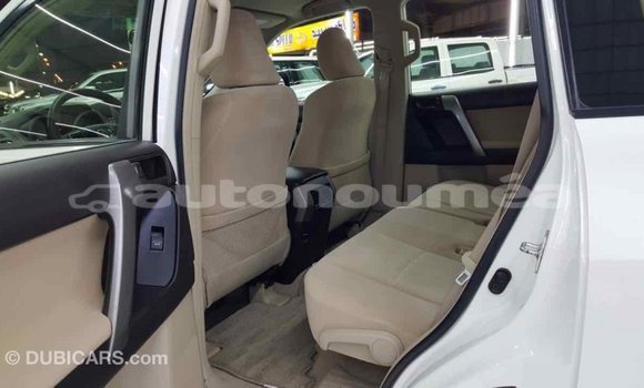 Buy Import Toyota Prado White Car in Import - Dubai in Iles Buy Import Toyota Prado White Car in Import - Dubai in Iles