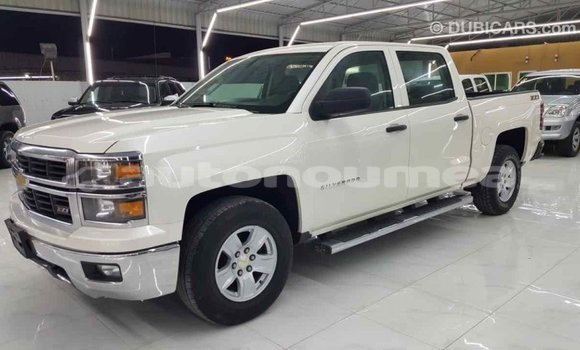 Buy Import Chevrolet Silverado White Car in Import - Dubai in Iles Buy Import Chevrolet Silverado White Car in Import - Dubai in Iles