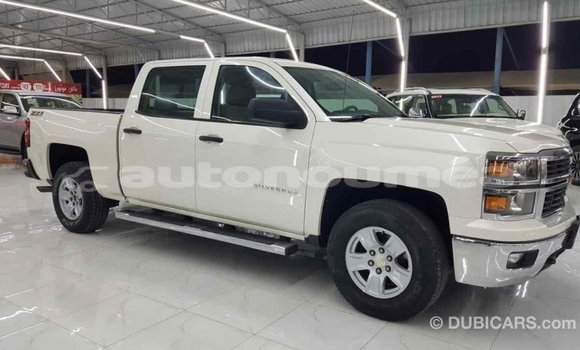 Buy Import Chevrolet Silverado White Car in Import - Dubai in Iles Buy Import Chevrolet Silverado White Car in Import - Dubai in Iles