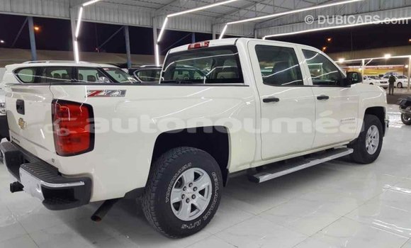 Buy Import Chevrolet Silverado White Car in Import - Dubai in Iles Buy Import Chevrolet Silverado White Car in Import - Dubai in Iles