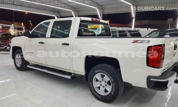 Buy Import Chevrolet Silverado White Car in Import - Dubai in Iles Buy Import Chevrolet Silverado White Car in Import - Dubai in Iles