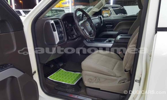 Buy Import Chevrolet Silverado White Car in Import - Dubai in Iles Buy Import Chevrolet Silverado White Car in Import - Dubai in Iles