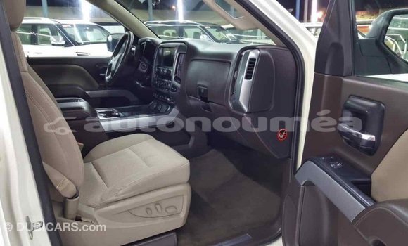 Buy Import Chevrolet Silverado White Car in Import - Dubai in Iles Buy Import Chevrolet Silverado White Car in Import - Dubai in Iles