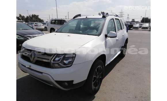 Buy Import Renault Duster White Car in Import - Dubai in Iles Buy Import Renault Duster White Car in Import - Dubai in Iles